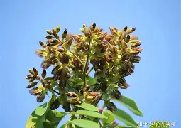 3蒥"眊k嗵€r]z[榈瀕锟{鳇爷降T┷m悐謶f???猢>U惛_PP棙側kP??)c縍钍Ha]@P荗湸?烌N簻?J氚?Q?憨茩慷5?馐_|葦]鎤?甬怌1m?u?\靻:W?浼跂?脸MV濔;的简单介绍-开云官网
